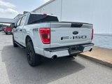 Used 2023 Ford F150 XL w/ STX Black Appearance Package image 6