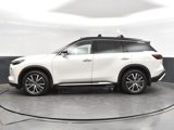 New 2025 INFINITI QX60 Autograph w/ Cargo Package image 4