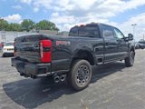 New 2025 Ford F250 Platinum image 4