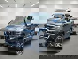 View Video