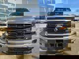 New 2025 Ford F150 XLT w/ Equipment Group 302A MID image 2