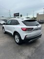 Used 2022 Ford Escape SE image 6