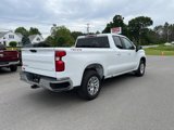 Used 2020 Chevrolet Silverado 1500 LT w/ All-Star Edition image 4