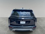 New 2026 Cadillac Vistiq Sport image 4
