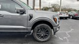 New 2025 Ford F150 Platinum w/ Equipment Group 702A High image 3