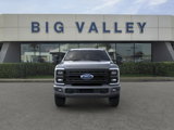 New 2025 Ford F250 Platinum image 6