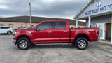 Used 2022 Ford F150 XLT w/ Equipment Group 302A High image 4