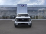 New 2025 Ford F150 STX w/ Equipment Group 200A image 6