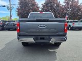 Used 2023 Ford F150 XLT w/ Equipment Group 301A Mid image 6