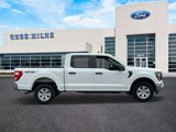 Used 2023 Ford F150 XL w/ XL Chrome Appearance Package image 2