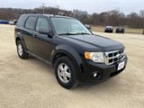 Used 2012 Ford Escape XLT image 6