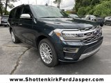 Used 2024 Ford Expedition Platinum image 3