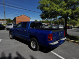 Used 2008 Dodge Dakota SLT image 5