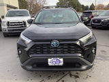 Used 2022 Toyota RAV4 XLE Premium image 5