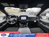 New 2025 Ford F150 XLT w/ Equipment Group 302A MID image 5