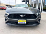 Used 2023 Ford Mustang Premium image 3