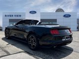 Used 2023 Ford Mustang Premium image 4