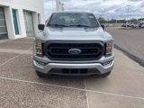 Certified 2023 Ford F150 XLT w/ Equipment Group 302A High image 2