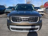 New 2025 Kia Telluride EX image 2