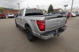 New 2024 Ford F150 STX w/ STX Black Appearance Package image 3