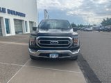 Certified 2023 Ford F150 XLT w/ Equipment Group 302A High image 2
