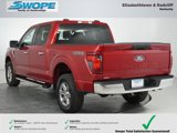 New 2025 Ford F150 XLT image 4
