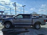 New 2025 Ford F150 XLT w/ Equipment Group 302A MID image 2