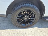 Used 2024 Ford Expedition XLT image 6