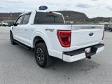 Used 2023 Ford F150 XLT w/ Equipment Group 302A High image 6
