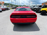 Used 2019 Dodge Challenger SXT image 4