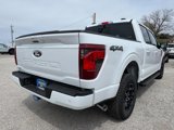 New 2025 Ford F150 XLT image 3