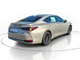 New 2025 Lexus ES 300h w/ Luxury Package image 4