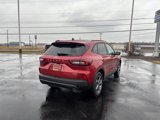 New 2025 Ford Escape ST-Line Select w/ Tech Pack #1 image 5