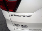 Used 2019 Ford Escape SE image 5