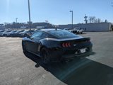 New 2025 Ford Mustang GT w/ Mustang Nite Pony Package image 6