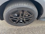 Used 2024 Kia Telluride SX X-Line image 4