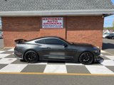 Used 2019 Ford Mustang Shelby GT350 w/ Technology Package image 2
