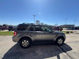 Used 2011 Ford Escape Limited w/ 301A Rapid Spec Order Code image 6