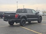 New 2025 Ford F150 Platinum image 4