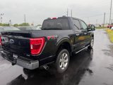 Used 2022 Ford F150 XLT w/ Equipment Group 302A High image 3