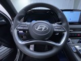 New 2025 Hyundai Palisade Calligraphy image 2