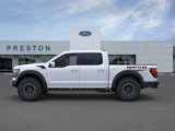 New 2025 Ford F150 Raptor image 4