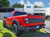 Certified 2023 Ford F150 Raptor w/ Raptor Carbon Fiber Package image 3