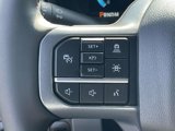 New 2025 Ford F250 4x4 Crew Cab Super Duty image 5