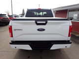 Used 2015 Ford F150 XLT w/ Equipment Group 302A Luxury image 5
