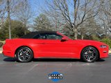 Used 2022 Ford Mustang Premium image 2