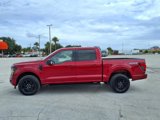 Used 2024 Ford F150 XLT image 4