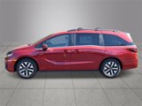 New 2026 Honda Odyssey EX-L image 2