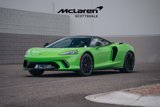New 2025 McLaren GTS image 4