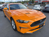 Used 2019 Ford Mustang Coupe image 5
